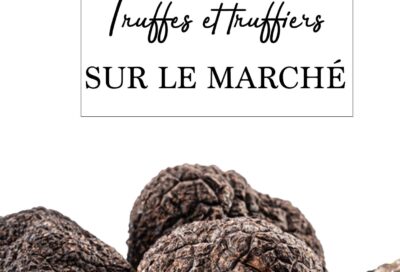 Truffes et truffiers sur le marché de Lavaur_Lavaur