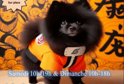 Salon Pop Kult’ure_Soual