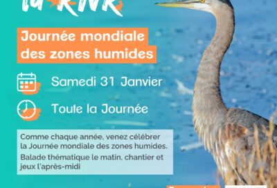 𝗟𝗲𝘀 𝗥𝗗𝗩 𝗱𝗲 𝗹𝗮 𝗥𝗡𝗥 🐦_Saïx