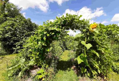 Les Jardins d’Autanel_Saint-Julien-du-Puy