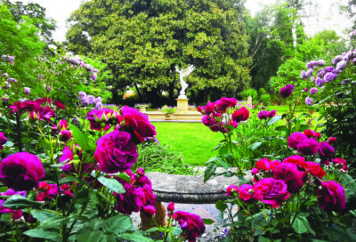 Fête de la Rose 2026