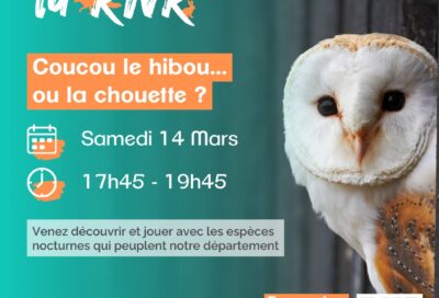 Les RDV de la RNR – Coucou le Hibou_Saïx