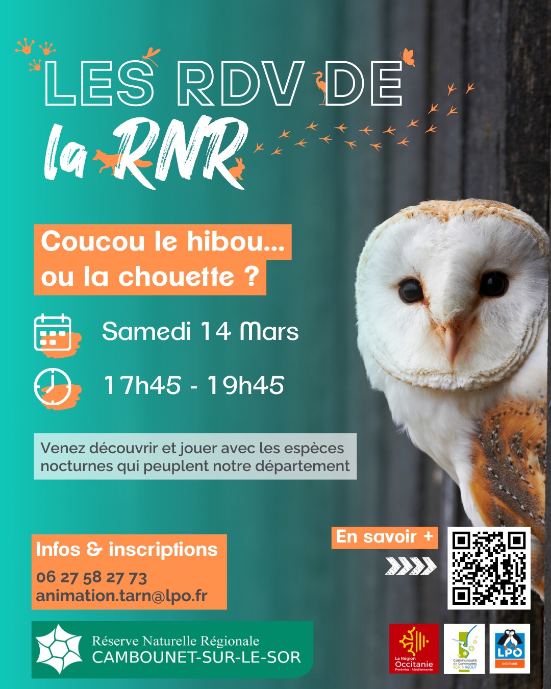 Les RDV de la RNR - Coucou le Hibou_Saïx