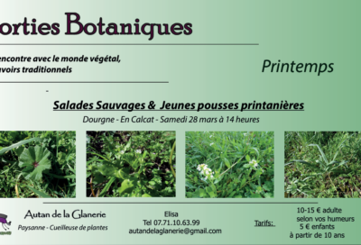Sortie Botanique : Printemps & Salades Sauvages_Dourgne