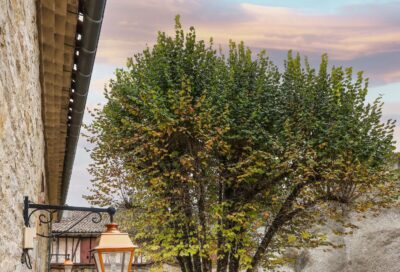 Cantine en poèmes et chansons avec Eclat de Rimes