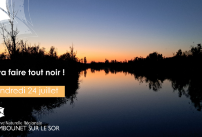 Il va faire tout noir