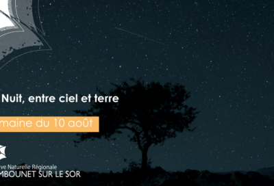 La Nuit, entre ciel et terre