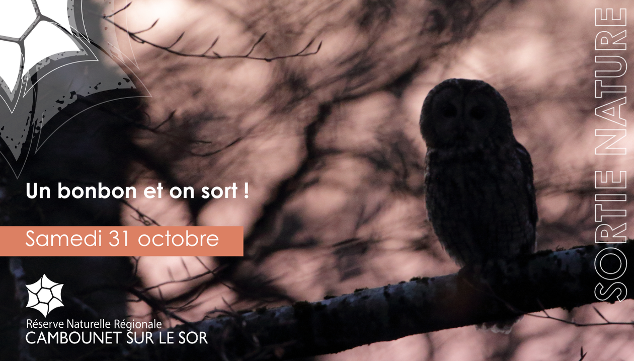 Un bonbon et on sort