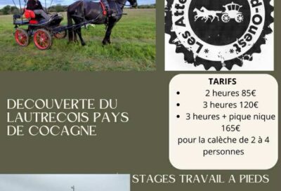 Découvertes du cheval
