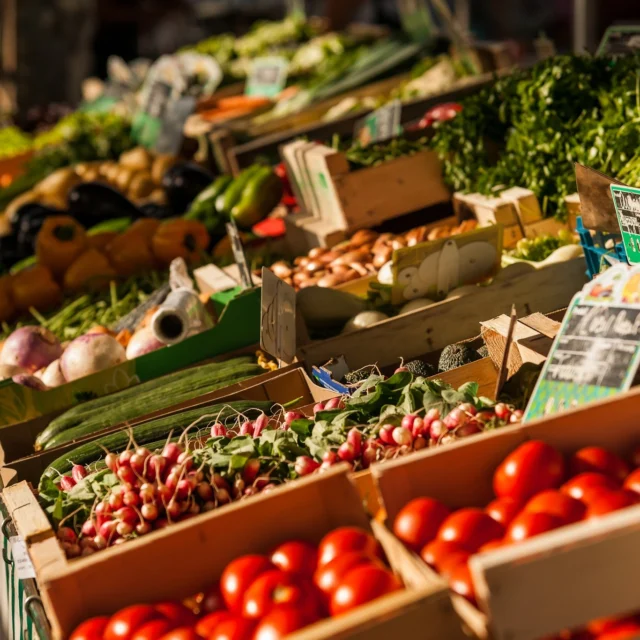 [GASTRONOMIE] Le grand marché deVille de Lavaurr , tous les samedis matins, est le lieu idéal pour les retrouver les meilleurs produits locaux et les glisser dans son 🧺.

En #paysdecocagne l'abondance est partout, la région est un véritable paradis où l’on produit toutes sortes de mets de qualité 🧄🥦🧀.

➕ d'infos dans le lien en bio
📷 Y. Chevojon / @raynaudphoto 

#paysdecocagne #tarn #tourismetarn #tourismeoccitanie #sudouest #igerstarn #lavaur #marche #gastronomie #produitslocaux #gout
