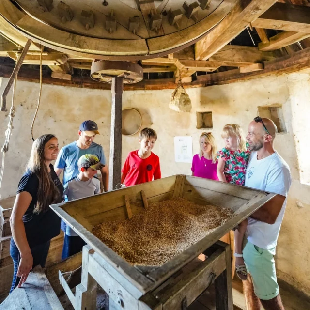 [SAVOIR-FAIRE] 💨 Connaissez-vous le fonctionnement d'un 𝗺𝗼𝘂𝗹𝗶𝗻 à 𝘃𝗲𝗻𝘁 ?

Au @villagedelautrec, vous découvrirez l'histoire d'un des rares moulins à vent d'Occitanie à produire encore de la farine. Le 𝗴𝘂𝗶𝗱𝗲-𝗺𝗲𝘂𝗻𝗶𝗲𝗿 vous expliquera comment il oriente les ailes face au vent, pour qu'elles entraînent le rouet qui lui-même actionne la lanterne qui fait tourner la meule.
Suivez la visite guidée pour bien comprendre la transformation du blé 🎋 en farine !

➕ d'infos et horaires d'ouverture dans le lien en bio

📸 @raynaudphoto 
@lautrec.tourisme 

#paysdecocagne #tarn #tourismetarn #tourismeoccitanie #sudouest #igerstarn #lautrec #moulin #village #patrimoine #plusbeauxvillagesdefrance