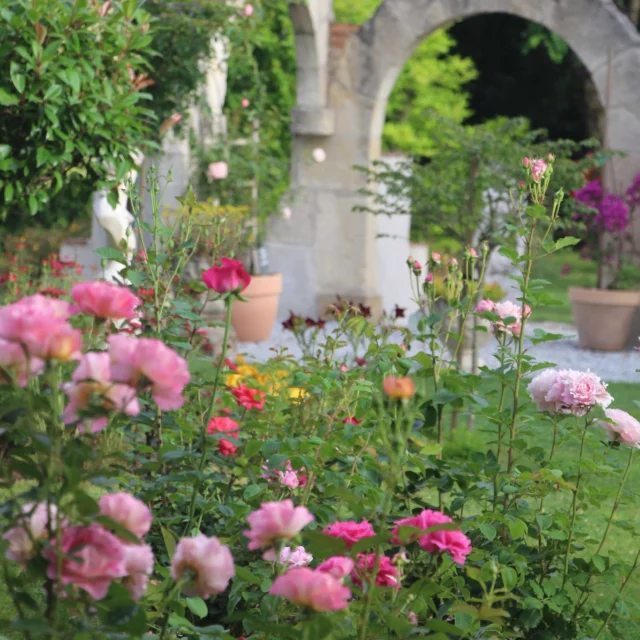 [EVENEMENT] 🌹🌹 Amoureux des 𝓻𝓸𝓼𝓮𝓼 ? Quel meilleur mois que celui de Mai pour se laisser enivrer par leurs parfums et admirer leurs couleurs éclatantes.

Les Jardins De l'Ange comptent plus de 350 espèces différentes de rosiers en fleur, parsemés entre la roseraie historique et les 2.9 ha de jardins aménagés. Parcourez les parterres lors de la 𝐅ê𝐭𝐞 𝐝𝐞 𝐥𝐚 𝐑𝐨𝐬𝐞. Une belle idée de sortie pour célébrer la Fête des Mères et s'enthousiasmer en contemplant fleurs et jardins.

Des roses et encore des roses, mais aussi… une vente de rosiers, un concours surprise pour gagner un joli rosier et une expo-vente présentant des artistes de talent !

➕ d'infos ici dans le lien en bio
📷 @tripinwild 

#paysdecocagne #tarn #tourismetarn #tourismeoccitanie #sudouest #igerstarn #verdalle #nature #fleurs #roses
