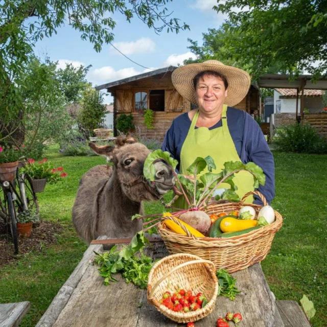 [SAVOURER] 👨‍🌾 La guinguette chez @lesjardinsdemartine a ouvert ses portes pour la saison 2025 !
De 𝘮𝘢𝘪 à 𝘴𝘦𝘱𝘵𝘦𝘮𝘣𝘳𝘦, entre amis ou en famille, venez dîner à la 𝗳𝗲𝗿𝗺𝗲, au cœur de l'exploitation maraîchère et en compagnie des animaux. Une parenthèse au vert, sur les hauteurs de @stsulpice81, dans un cadre unique.

Cette année, vous retrouverez des soirée Tapas avec service au comptoir tous les jeudis et vendredis et les samedis soirs, ce sera les Assiettes de Martine mais cette fois, avec service à table.

➕ d'infos dans le lien en bio
📷 @tourismetarn 

#paysdecocagne #tarn #tourismetarn #tourismeoccitanie #sudouest #igerstarn #nature #guinguette #ferme #pleinair #gastronomie